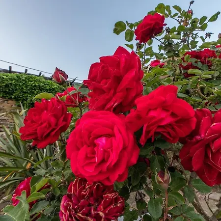 Ghisi アパート Arnados