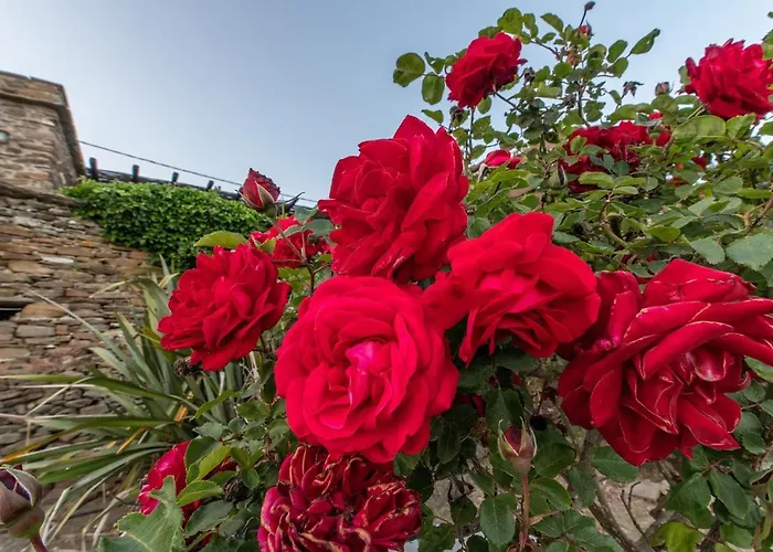 Ghisi Apartamento Arnados